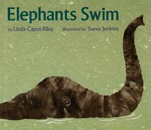 Elephants Swim by Linda Capus Riley, Steve Jenkins