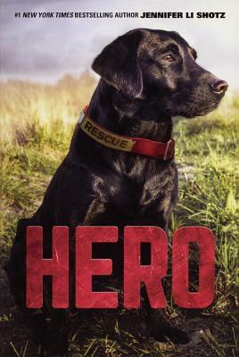 Hero by Jennifer Li Shotz