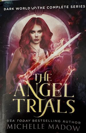 The Angel Trials by Michelle Madow