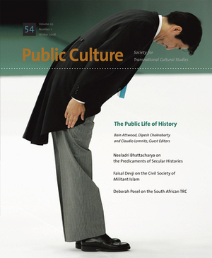 The Public Life of History by Bain Attwood, Dipesh Chakrabarty, Claudio Lomnitz