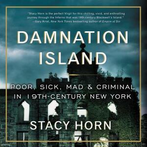 Damnation Island: Poor, Sick, Mad, and Criminal in 19th-Century New York by Stacy Horn
