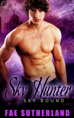 Sky Hunter by Fae Sutherland