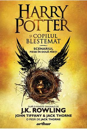 Harry Potter si copilul blestemat by John Tiffany