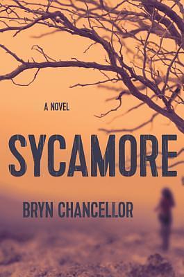 Sycamore by Bryn Chancellor