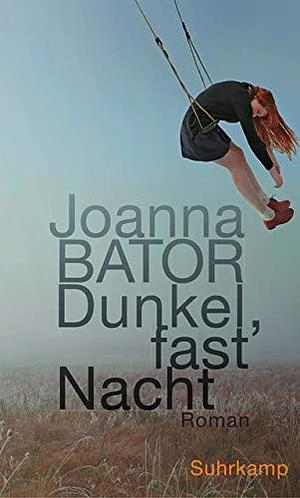 Dunkel, fast Nacht: Roman by Joanna Bator