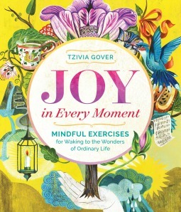 Joy in Every Moment: Mindful Exercises for Waking to the Wonders of Ordinary Life by Tzivia Gover