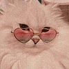karoreads's profile picture