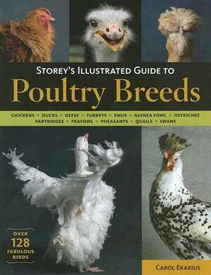 Storey's Illustrated Guide to Poultry Breeds: Chickens, Ducks, Geese, Turkeys, Emus, Guinea Fowl, Ostriches, Partridges, Peafowl, Pheasants, Quails, Swans by Carol Ekarius