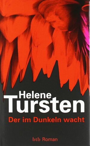 Der im Dunkeln wacht by Lotta Rüegger, Helene Tursten, Holger Wolandt