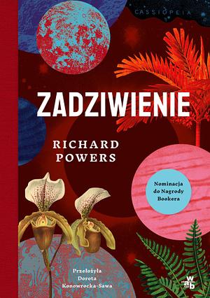 Zadziwienie by Richard Powers