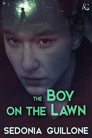 The Boy on the Lawn by Sedonia Guillone