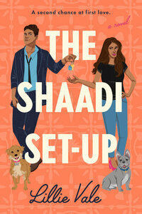 The Shaadi Set-Up by Lillie Vale