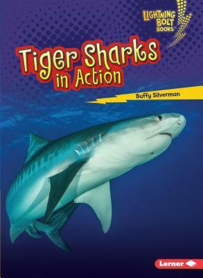 Tiger Sharks in Action by Buffy Silverman