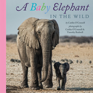 A Baby Elephant in the Wild by Caitlin O'Connell, Timothy Rodwell