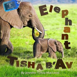 Elephant Tisha b'Av by Jennifer Tzivia MacLeod