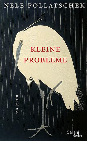 Kleine Probleme by Nele Pollatschek
