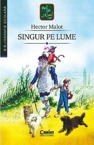 Singur pe lume by Hector Malot