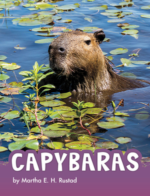 Capybaras by Martha E.H. Rustad