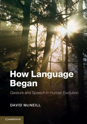 How Language Began: Gesture and Speech in Human Evolution by David McNeill