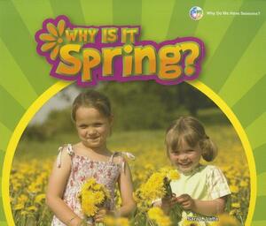 Why Is It Spring? by Sara L. Latta