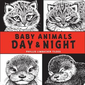 Baby Animals Day & Night by Phyllis Limbacher Tildes