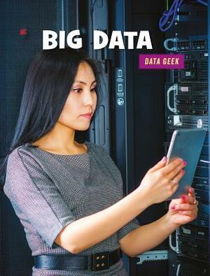 Big Data by Kristin Fontichiaro