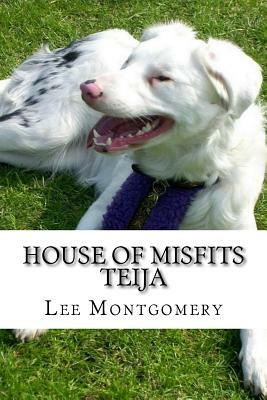 House of Misfits - Teija: Border Collie born deaf and blind by Lee Montgomery