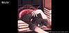 cielbear's profile picture