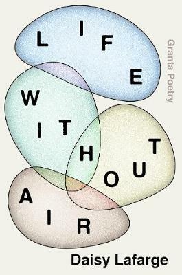 Life Without Air by Daisy Lafarge
