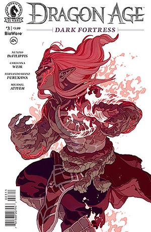 Dragon Age: Dark Fortress #3 by Nunzio DeFilippis, Christina Weir