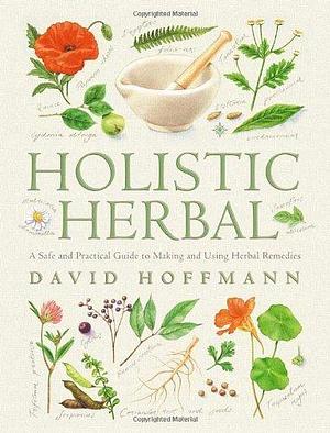 Holistic Herbal: A Safe and Practical Guide to Making and Using Herbal Remedies by David Hoffmann by David Hoffmann, David Hoffmann