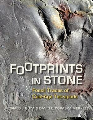 Footprints in Stone: Fossil Traces of Coal-Age Tetrapods by Ronald J. Buta, David C. Kopaska-Merkel