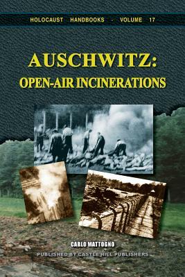 Auschwitz: Open-Air Incinerations by Carlo Mattogno