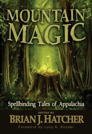 Mountain Magic: Spellbinding Tales Of Appalachia by Karin Fuller, Beth Cato, Kelly Ramsdell Fineman, Jean Rabe, Steve Rasnic Tem, Frank Larnerd, Stephen Couch, Brian J. Hatcher, Steve Vernon, Joyce Richardson, Wade German, Lucy A. Snyder, Joshua Reynolds, Ann Sontheimer Murphy, William Meikle