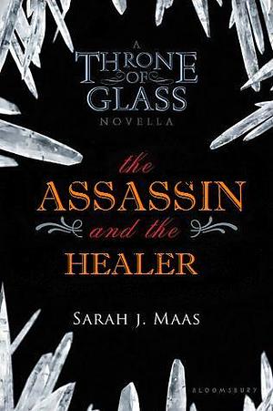 The Assassin and the Healer by Sarah J. Maas