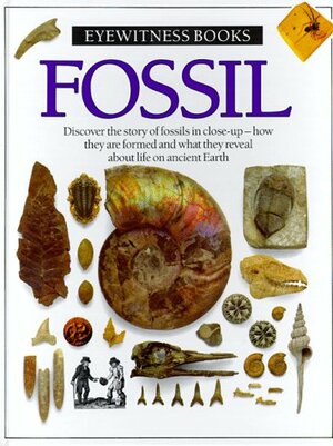 Fossil by Paul D. Taylor
