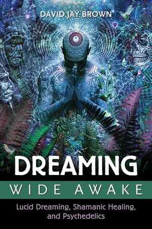 Dreaming Wide Awake: Lucid Dreaming, Shamanic Healing, and Psychedelics by David Jay Brown