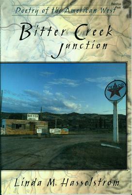 Bitter Creek Junction by Linda M. Hasselstrom