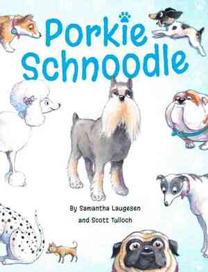 Porkie Schnoodle by Samantha Laugesen