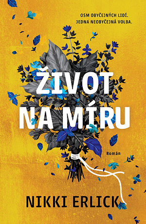 Život na míru  by Nikki Erlick