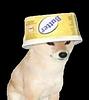 ryanvarnell's profile picture