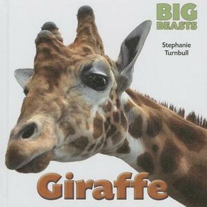 Giraffe by Stephanie Turnbull