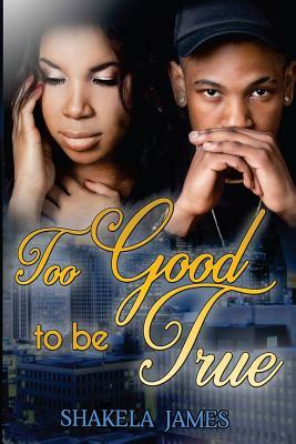 Too Good To Be True by Shakela James