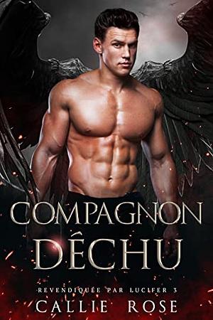 Compagnon déchu by Callie Rose