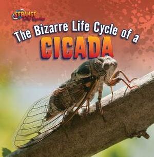 The Bizarre Life Cycle of a Cicada by Greg Roza
