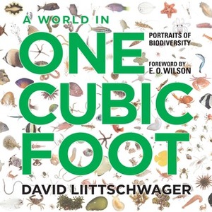A World in One Cubic Foot: Portraits of Biodiversity by Edward O. Wilson, David Liittschwager