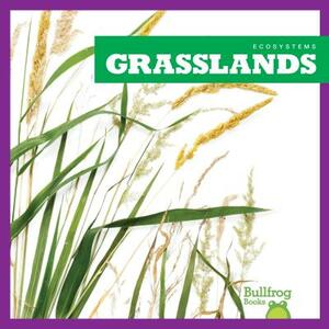 Grasslands by Nadia Higgins