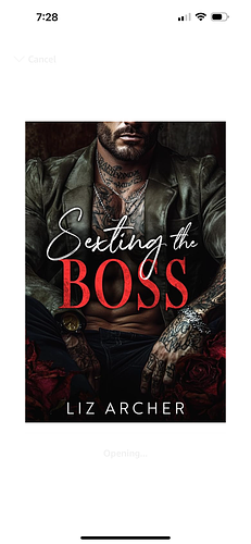 Sexting the Boss by Liz Archer
