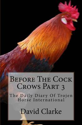 Before The Cock Crows Part 3: The Daily Diary Of Trojen Horse International by Bierton Particular Baptists, David Clarke