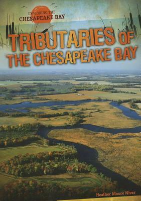 Tributaries of the Chesapeake Bay by Heather Moore Niver